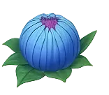 Flower blue
